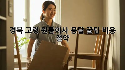 경북 고령 원룸이사 용달 꿀팁🍯 비용 절약💰