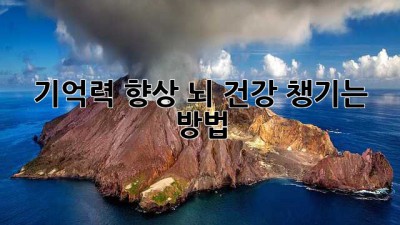 기억력 향상! 뇌 건강 챙기는 방법