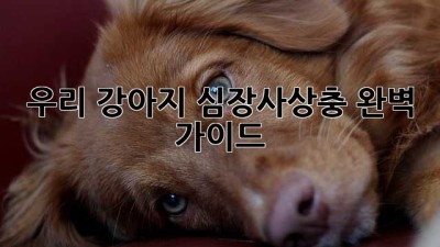 우리 강아지 심장사상충, 완벽 가이드!